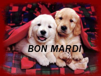 Bon mardi